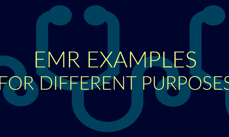 emr examples for different purposes